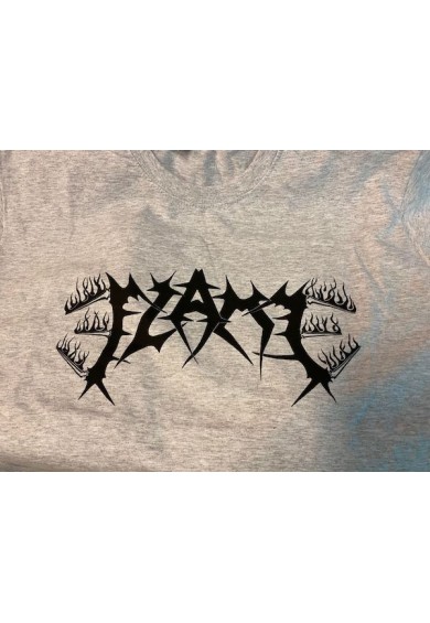Flame "logo - gray"  t-shirt XL