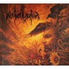 Nokturnal Mortum ‎– Істина (verity) CD