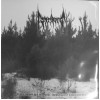 STRIBORG "black desolate winter / depressive hybernation" 2xLP