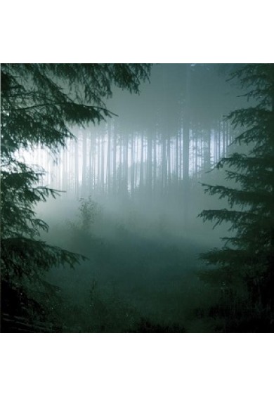 THY SERPENT "Forests Of Witchery" LP